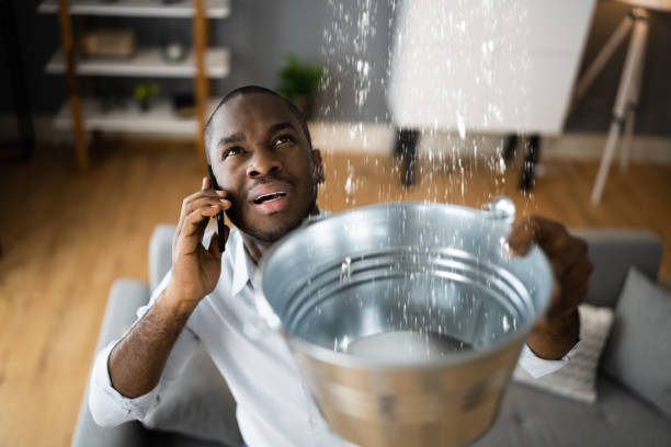 Best Flood restoration services  in Palo Cedro, CA
