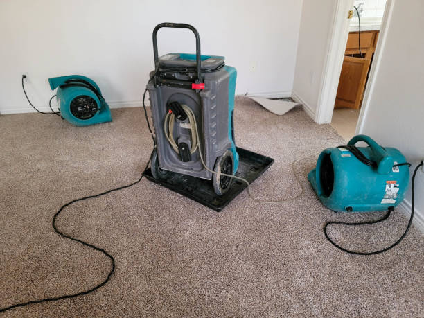 Best Basement water damage restoration  in Palo Cedro, CA