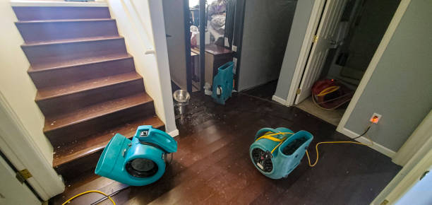 Best Water damage restoration cost  in Palo Cedro, CA