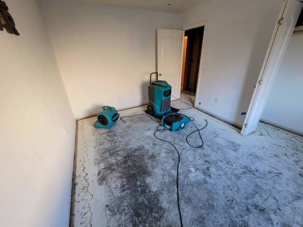 Best Commercial water damage restoration  in Palo Cedro, CA