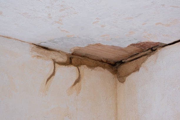 Best Water damage restoration specialists  in Palo Cedro, CA