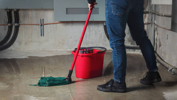Best Local water damage restoration  in Palo Cedro, CA