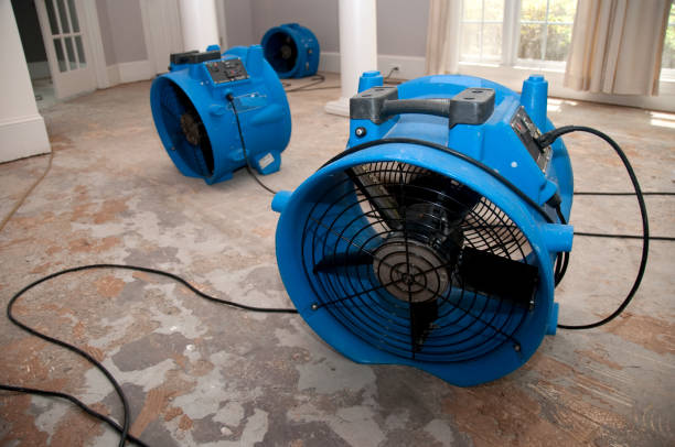 Best Water damage restoration company  in Palo Cedro, CA