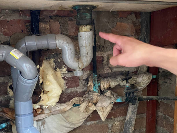 Best Water damage restoration near me  in Palo Cedro, CA