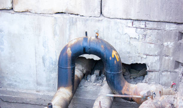 Best Flood restoration services  in Palo Cedro, CA