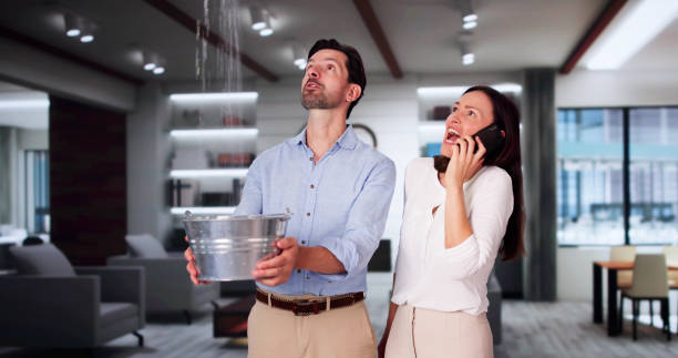 Best Water damage restoration mold remediation  in Palo Cedro, CA