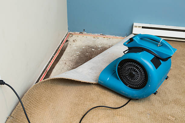  Palo Cedro, CA Water damage restoration Pros